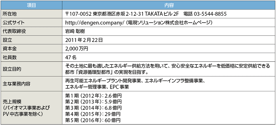 表1　電現ソリューション株式会社のプロフィール