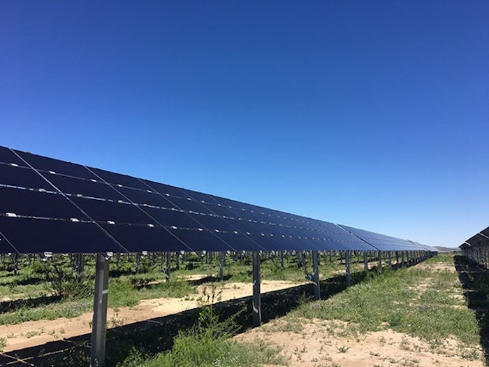 図　「East Pecos Solar Facility」に並ぶ太陽光発電モジュール