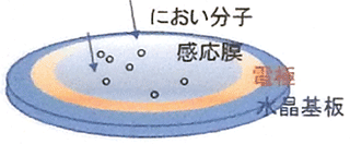 図2　QCMの構造とガスにおい分子の検出原理