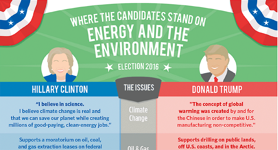 図1　両者のエネルギー・環境政策の違いを掲載するサイト