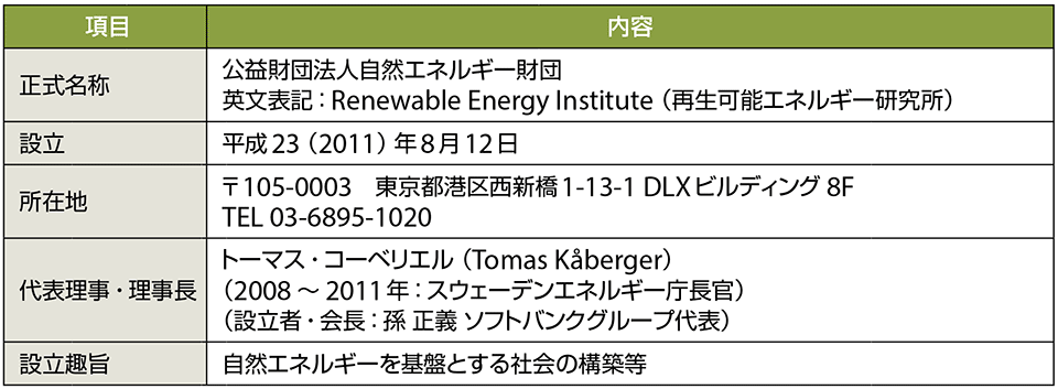 表1　公益財団法人 自然エネルギー財団のプロフィール（敬称略）