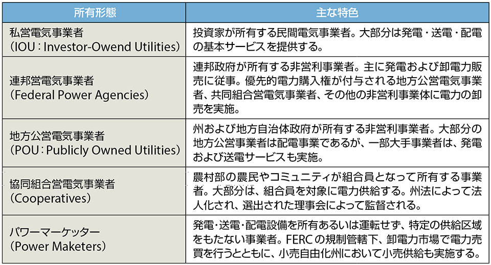 表2　米国における所有形態の電気事業者の特色