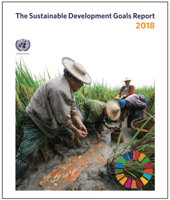 国連が『SDGs（持続可能な開発目標）報告2018』を発表