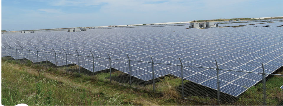 写真7　平地から見た大規模太陽光発電所の太陽光パネル