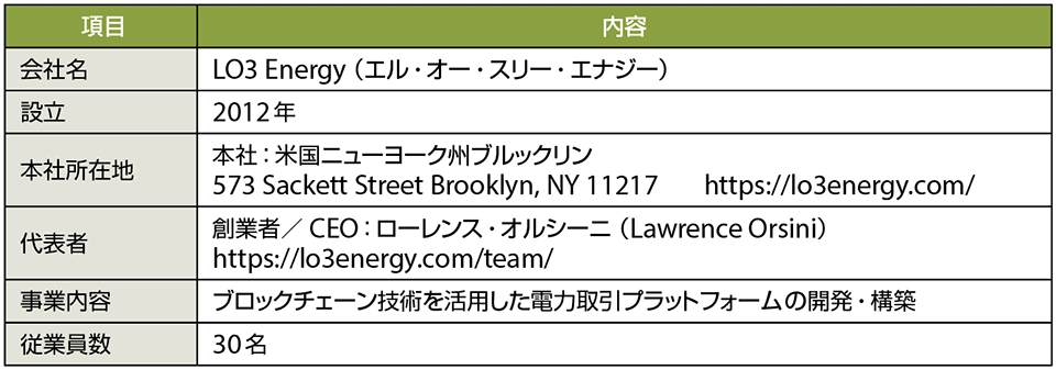 表1　LO3 Energyのプロフィール（2019年5月現在、敬称略）