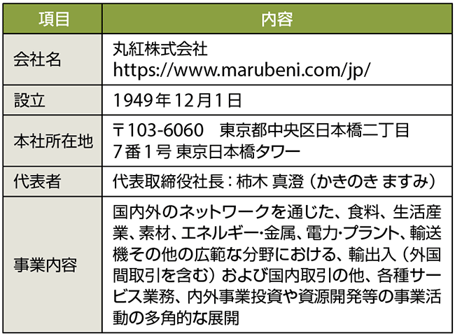 表2　丸紅のプロフィール（2019年5月現在、敬称略）