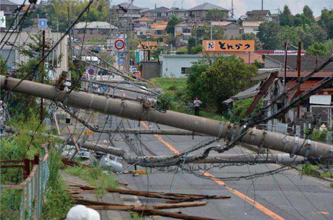 写真1　2018年9月の大阪府泉南市の台風21号の被害状況