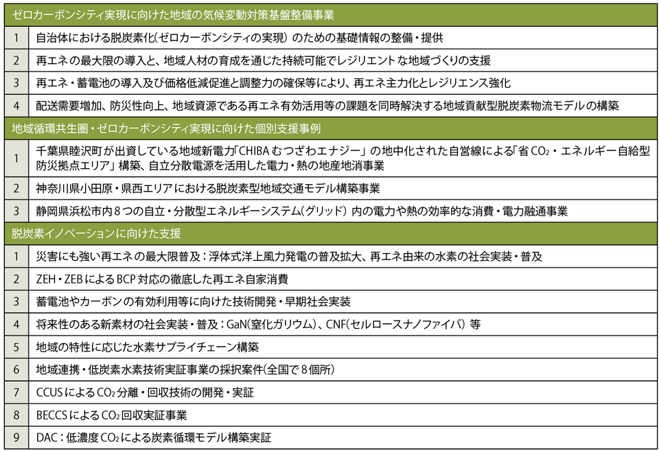 表1　環境省のゼロカーボンシティ支援施策の例