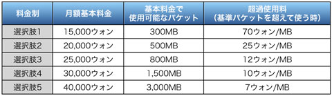 表2 プロモーション期間終了後の料金制度