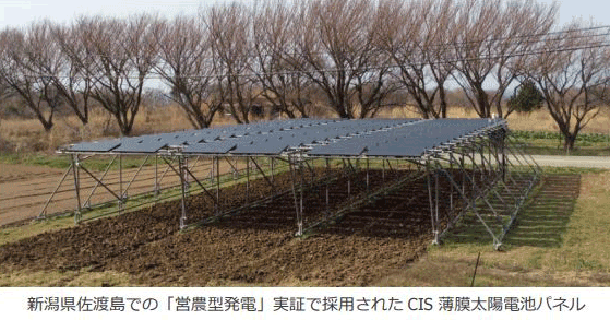 ソーラーフロンティア、新潟県佐渡島での「営農型発電」実証にCIS薄膜太陽電池パネルを提供 | 再生可能エネルギー | スマートグリッドフォーラム