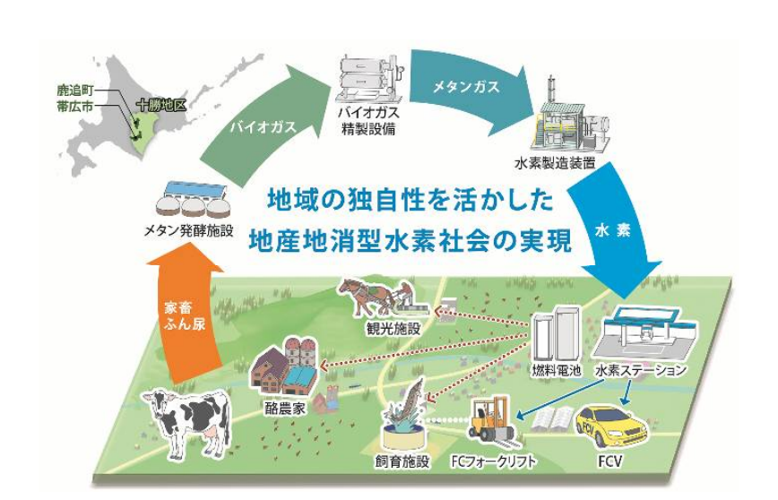 図　水素を地産地消するモデルの確立を目指す