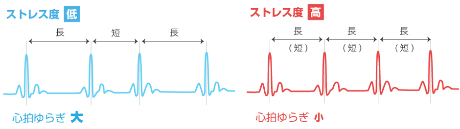 図　人間の心拍はストレスをあまり感じていないときは、拍動の間隔がばらつくが、ストレスを感じると間隔が一定に近くなっていく