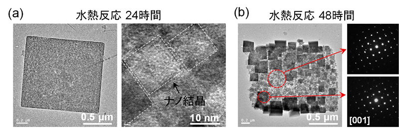 図　水熱反応で得たチタン酸ストロンチウムのメソ結晶を透過型電子顕微鏡で撮影した像。24時間反応させたものは、規則正しく結晶が並んでいるが、48時間反応させたものは、表面近くに大きさが不均一なナノ粒子ができている