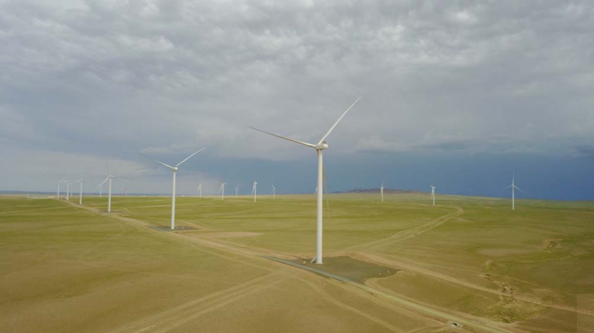図　Tsetsii Wind Farmに並ぶ風力発電設備