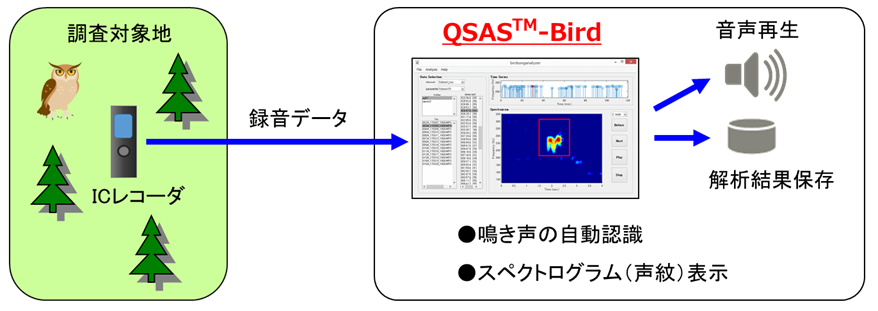 図　QSAS-Birdはボイスレコーダーに録音した音声から、特定の野鳥の鳴き声を検出する