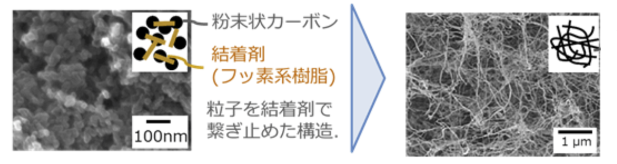 図　既存の電池の電極（左）と「ツチニカエルでんち」の電極（右）の顕微鏡拡大写真