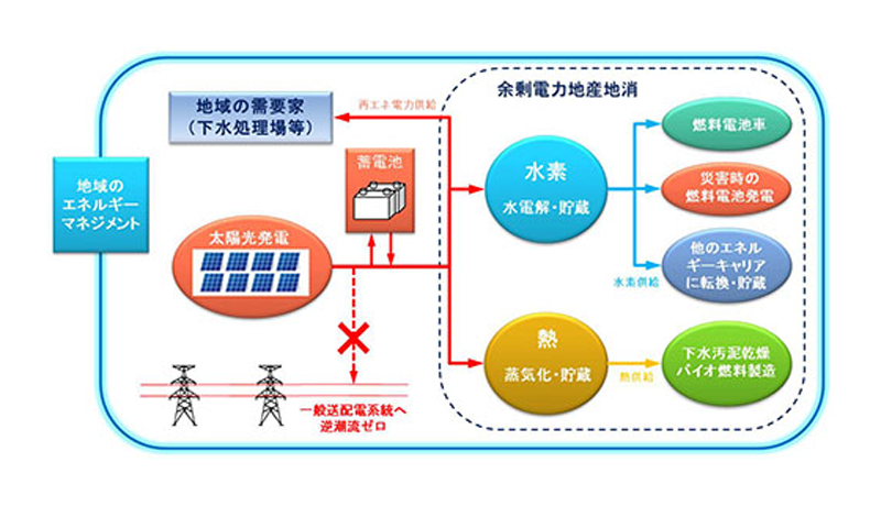 図　実証事業の概要