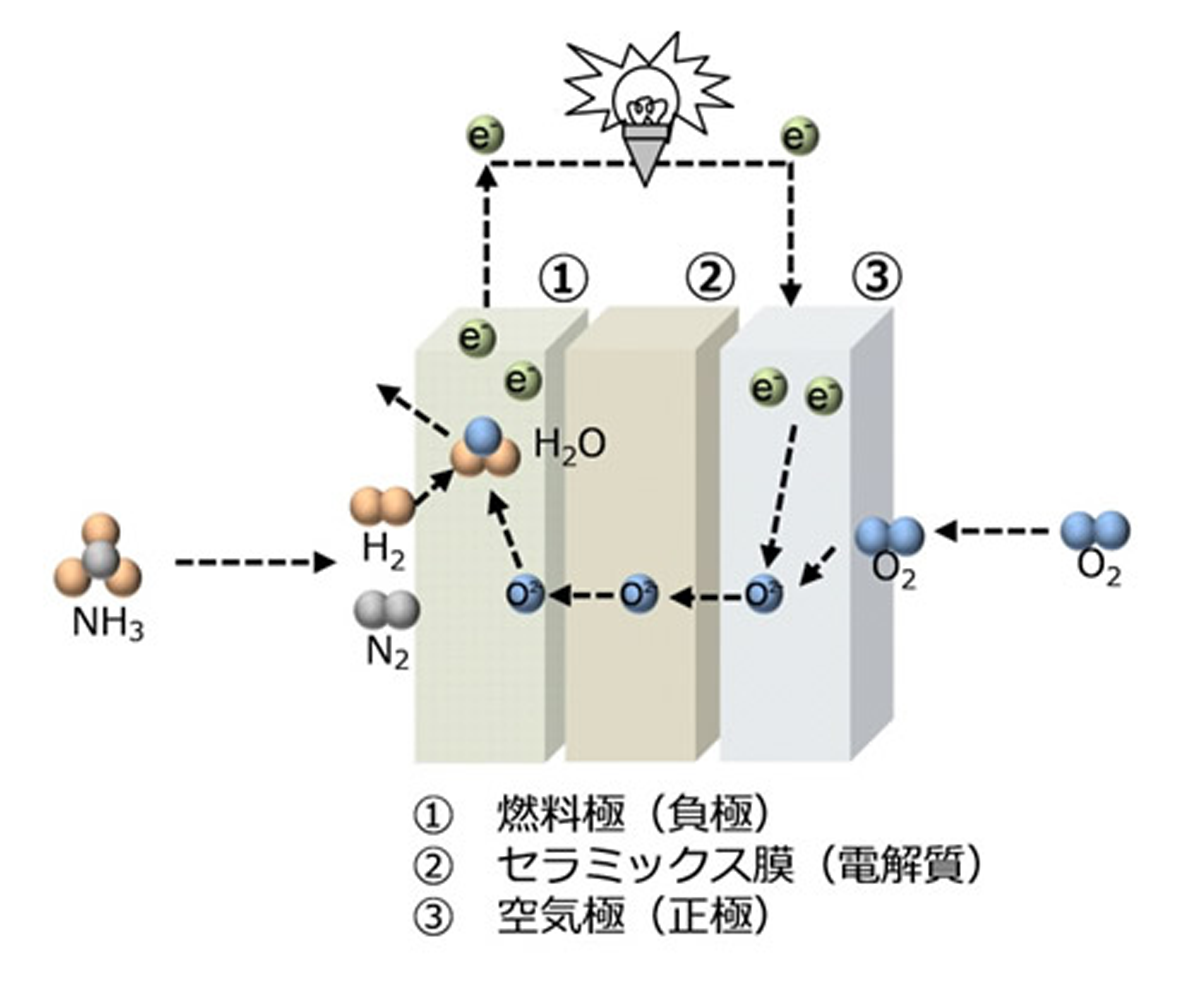 発電 アンモニア