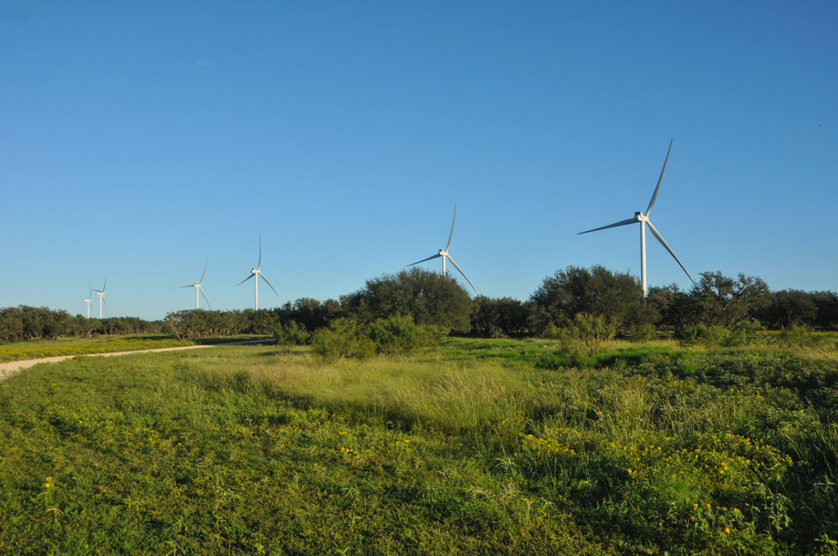 図　「Cactus Flats Wind Farm」に建つ風力発電設備