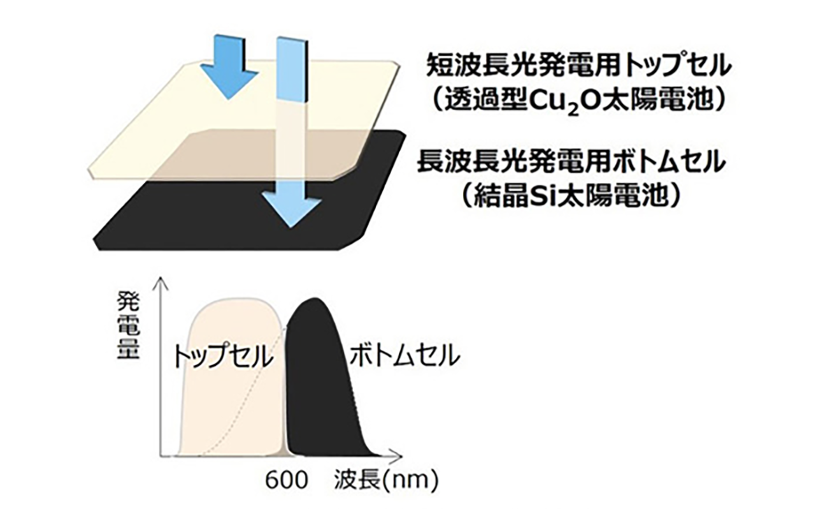 図　亜酸化銅太陽電池セルと、結晶シリコン太陽電池セルはそれぞれ異なる波長の光を受けて発電する