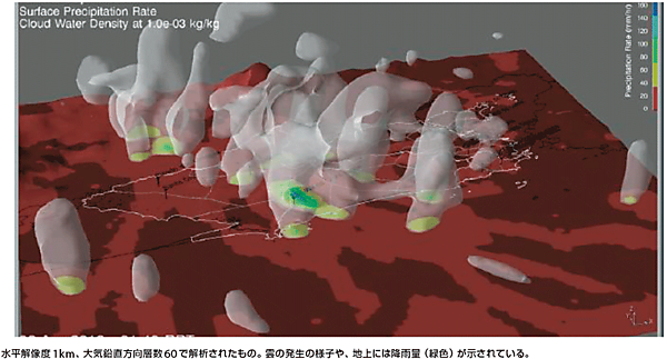 図2　Deep Thunder による解析例