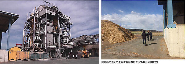 写真2　ギュッシングのバイオマスガス化発電所の外観