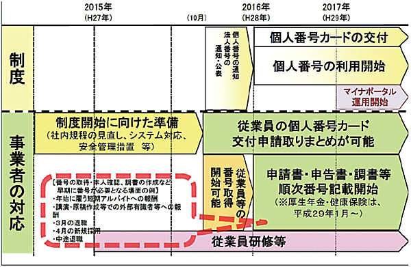 図2　マイナンバー制度導入のスケジュール