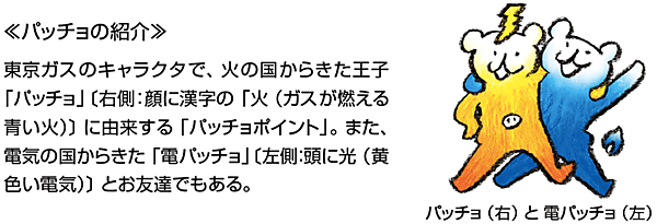 図4　パッチョポイントの由来