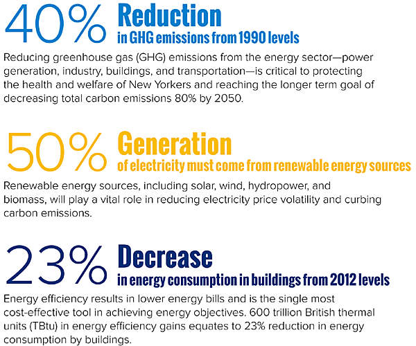 図7　ニューヨーク州のREV 2030 Goalsビジョン