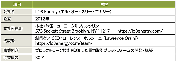 表1　LO3 Energyのプロフィール（2019年5月現在、敬称略）