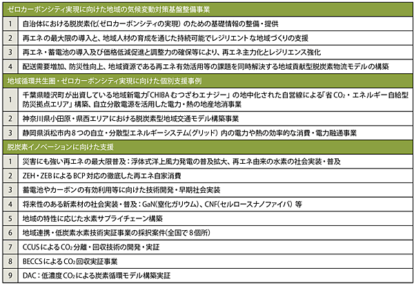表1　環境省のゼロカーボンシティ支援施策の例