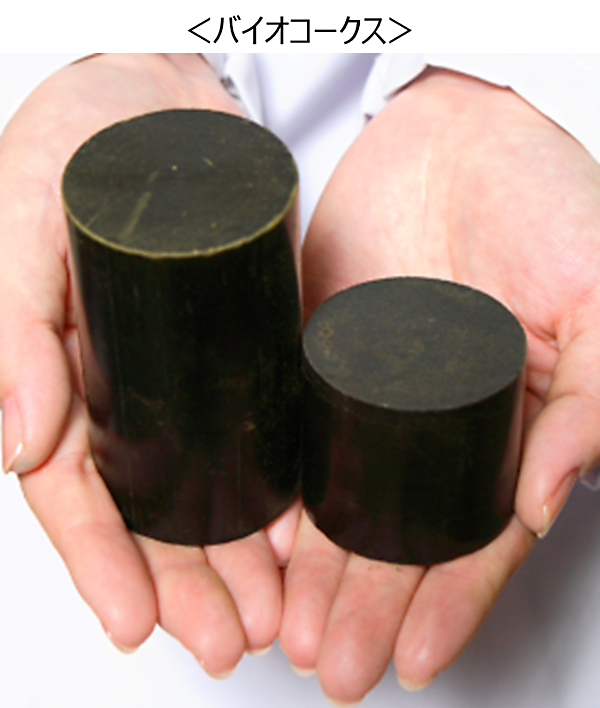図　バイオコークス。直径50mm程度の円筒形になっている