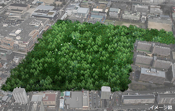 図　CO<sub>2</sub>排出量削減効果を森林面積に換算すると、この規模の森林になる