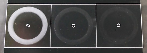 図　耐摩耗試験後の傷の付き方の違い。左がハードコートなしで中央が従来のハードコートを施したポリカーボネイト樹脂。右が今回帝人が開発したポリカーボネイト樹脂