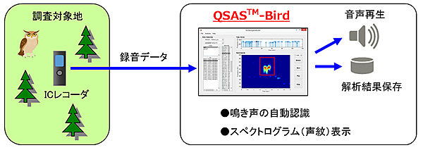 図　QSAS-Birdはボイスレコーダーに録音した音声から、特定の野鳥の鳴き声を検出する